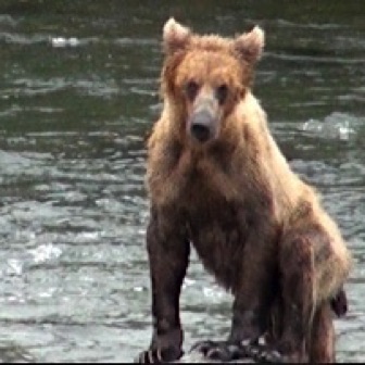 Screen Shot 2016-07-08 at 8.23.33 PM.jpg